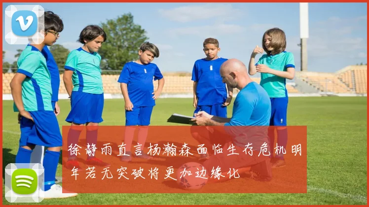 徐静雨直言杨瀚森面临生存危机明年若无突破将更加边缘化