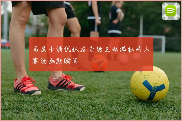 乌度卡调侃狄龙全场互动揭秘两人赛场幽默瞬间