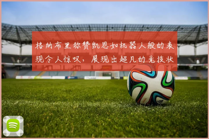 格纳布里称赞凯恩如机器人般的表现令人惊叹，展现出超凡的竞技状态