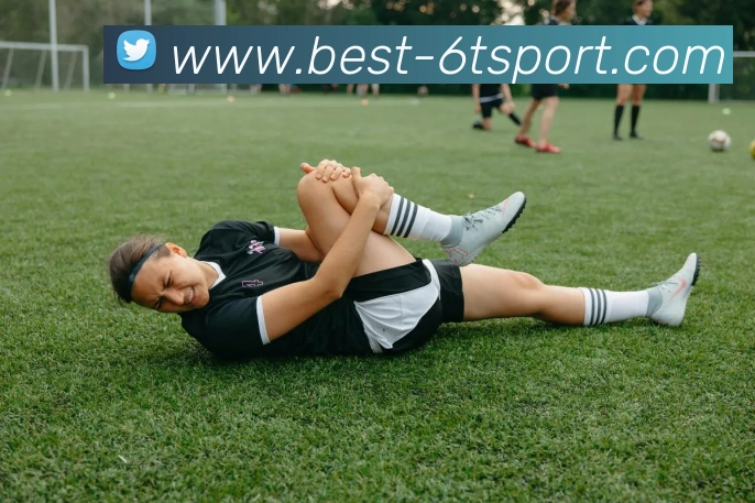 6T体育APP 封面图